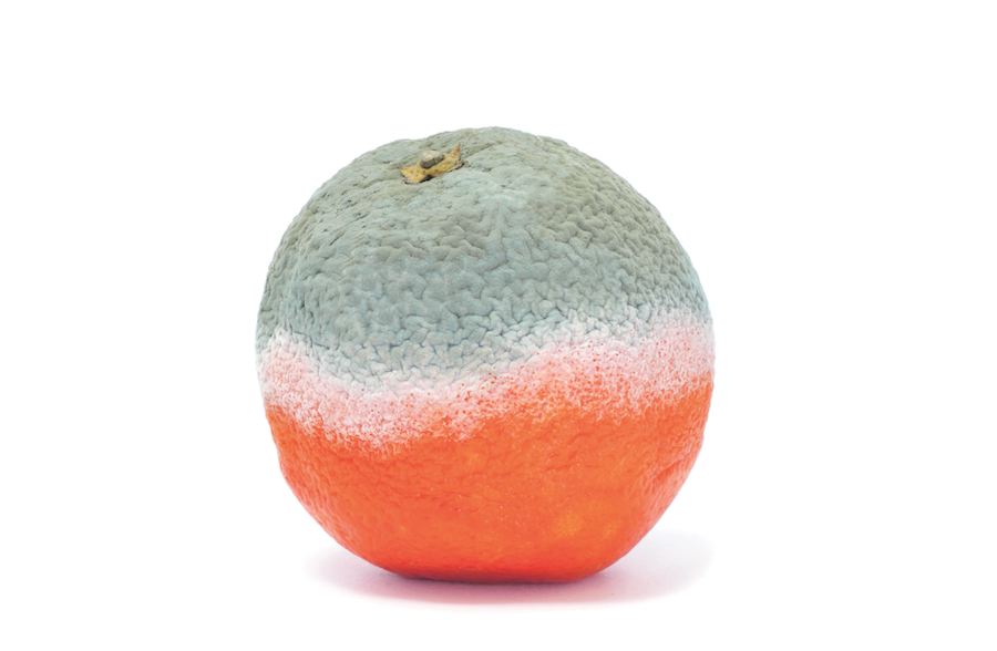 Maison & Objet Design trend 2015/2016: MAKE. Nature Made. @LeForge - Courtesy of Maison & Objet.