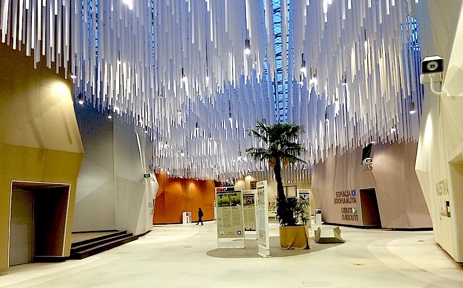 Expo 2015 - Arid zones Cluster - Photo by Enrico Zilli.