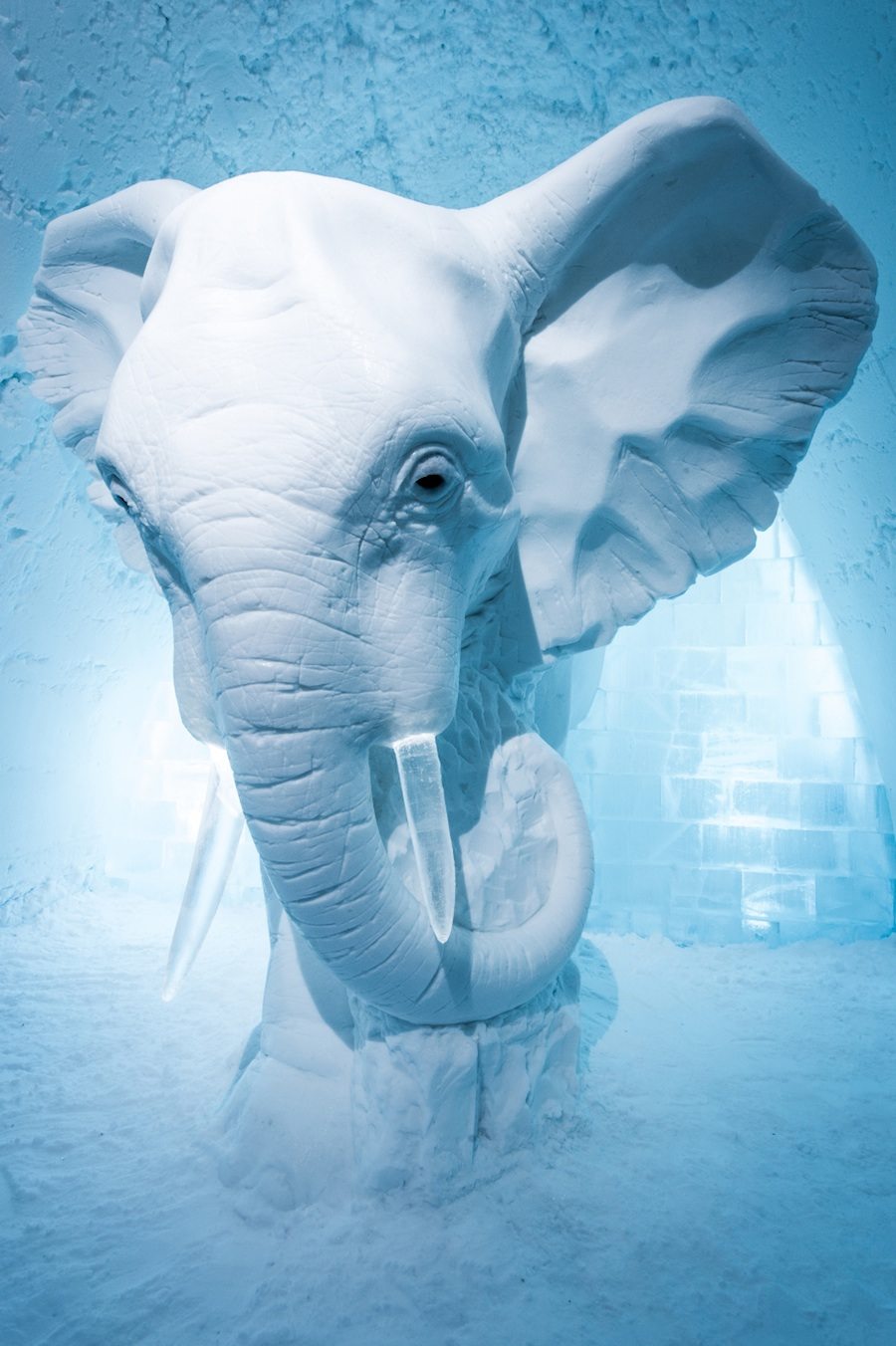 "Elephant in the Room" suite. Design by AnnaSofia Mååg - Photo by Asaf Kliger.