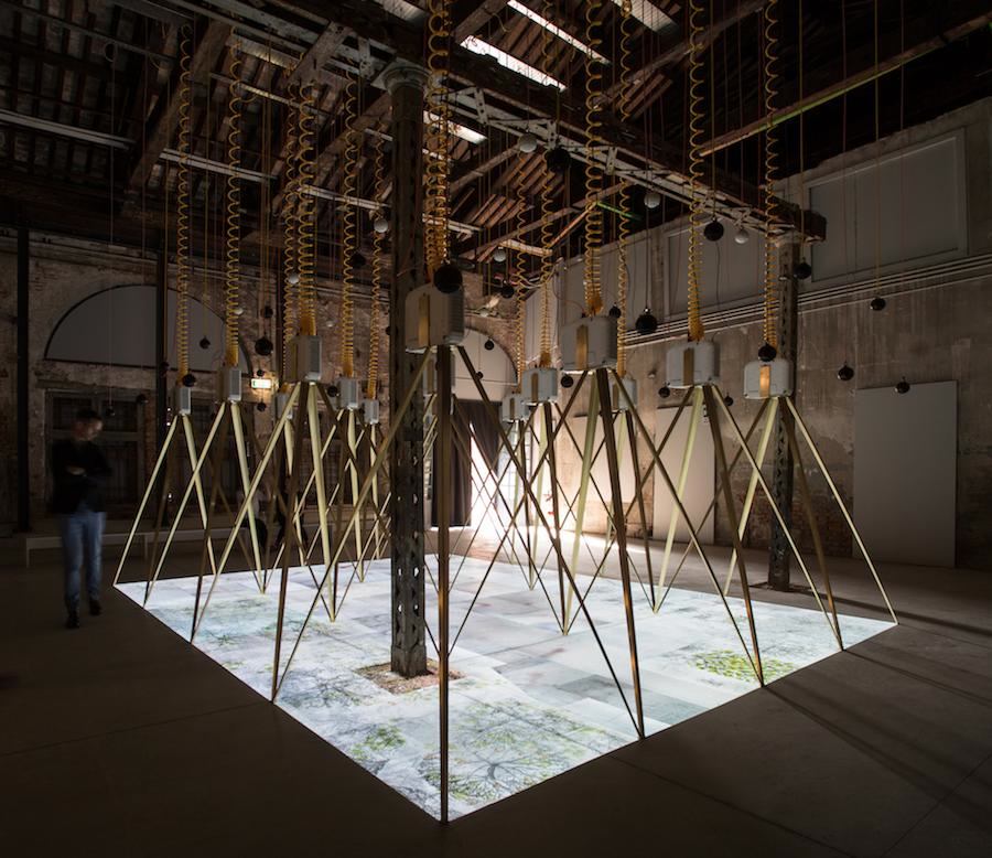 Irish Pavilion @ Venice 2016 - Photo by Riccardo Tosetto