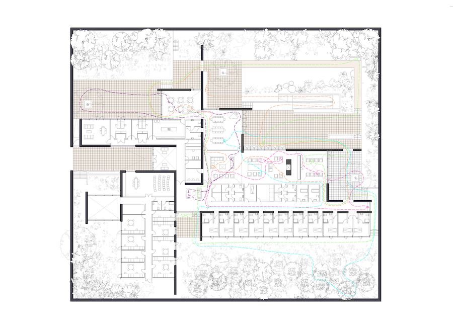 Alzheimer’s Respite Centre Plan with Wandering Routes © Níall McLaughlin Architects, 2009