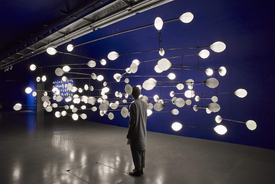 2017 Vienna Biennale: LeveL - © MAK/Georg Mayer.