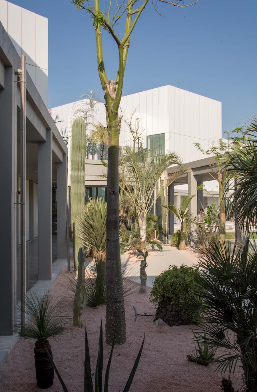 Jameel Arts Center - Photo by Simon Whittle.