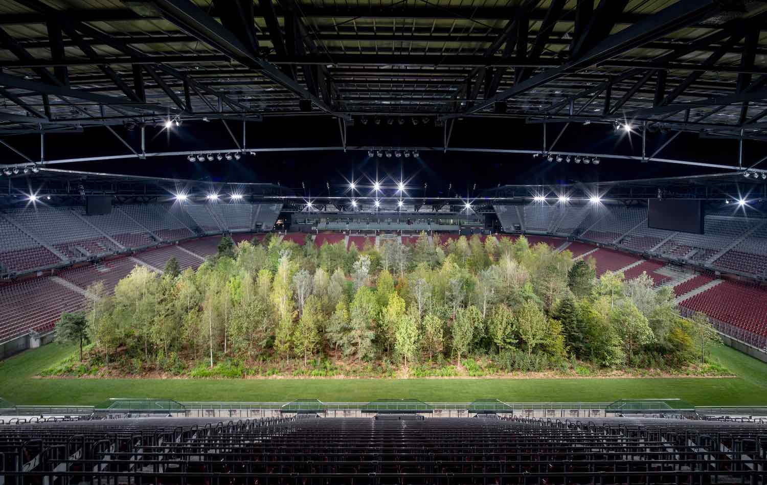 FOR FOREST by Klaus Littman - Photo by Gerhard Maurer, courtesy of ©For Forest