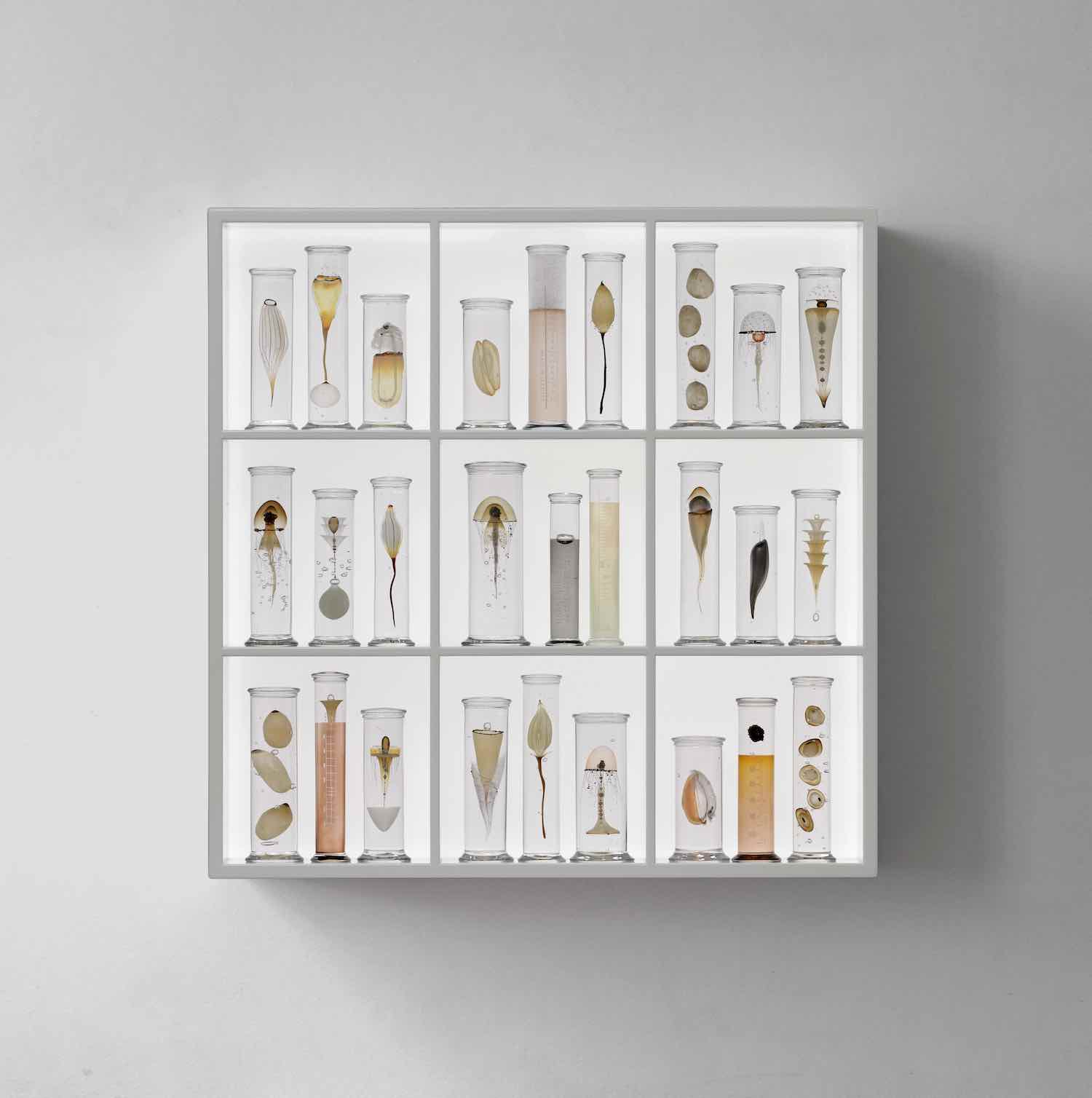 Steffen Damm's Cabinet for Collect 2020 - Courtesy of Joanna Bird.