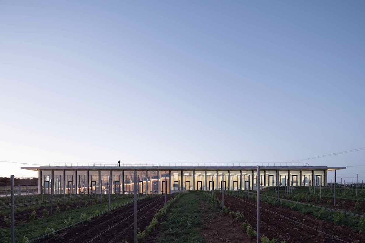Lahofer winery by Chybik + Kristof - Photo by Chybik + Kristof.