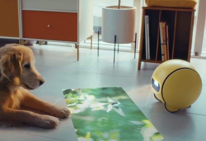 Ballie AI robot by Samsung