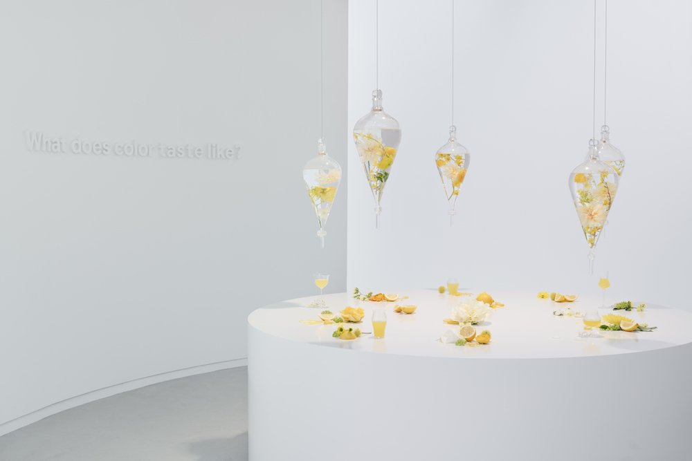 'Making Sense of Color' by Google at Milan Design Week 2024 - Photo by Edoardo Delille & Giulia Piermartiri, courtesy of Google.