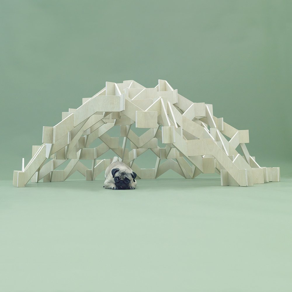 Kengo Kuma x Architecture for Dogs - Photo by Hiroshi Yoda.