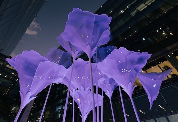 Dubai’s Winter Bloom