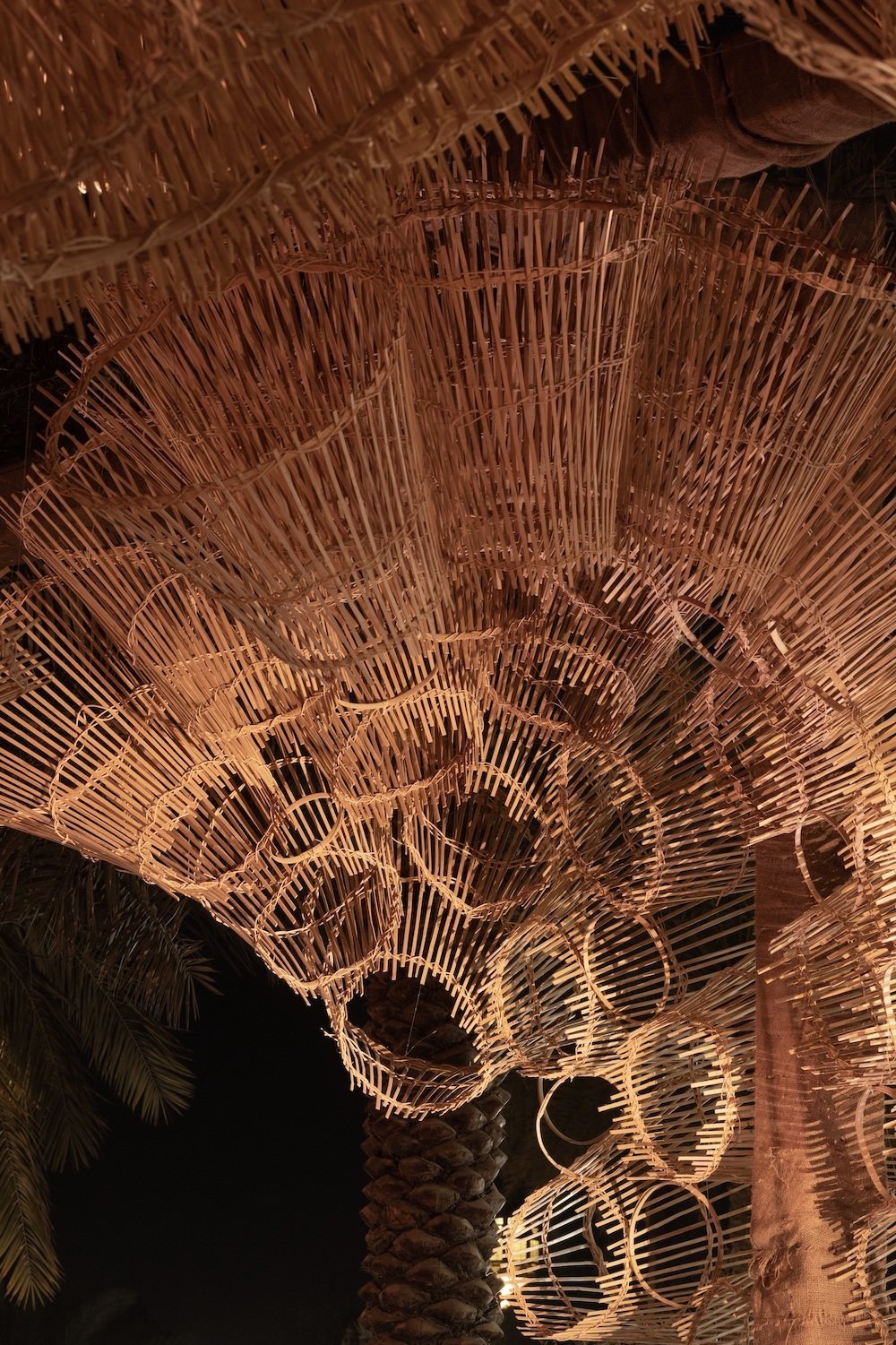 Woven Forest by Designlab Experience at Dubai Design Week 2025 - Courtesy of Dubai Design Week.