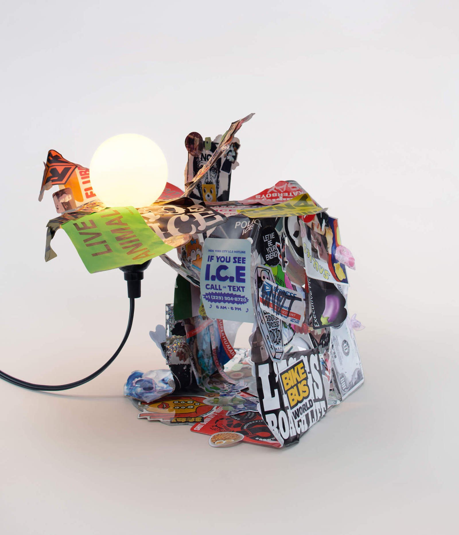 Teem by David Rupetti - Aaron S Cheung, Esto, 2026:Courtesy Head Hi.