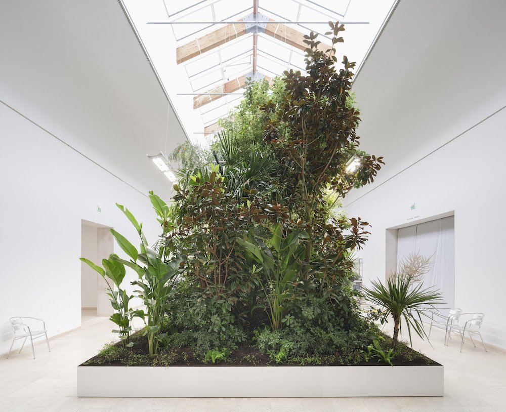 Building Biospheres by Bureau Bas Smets with Stefano Mancuso, Flanders Architecture Institute at the 2025 Venice Architecture Bennale - Photo by ©Michiel De Cleene.