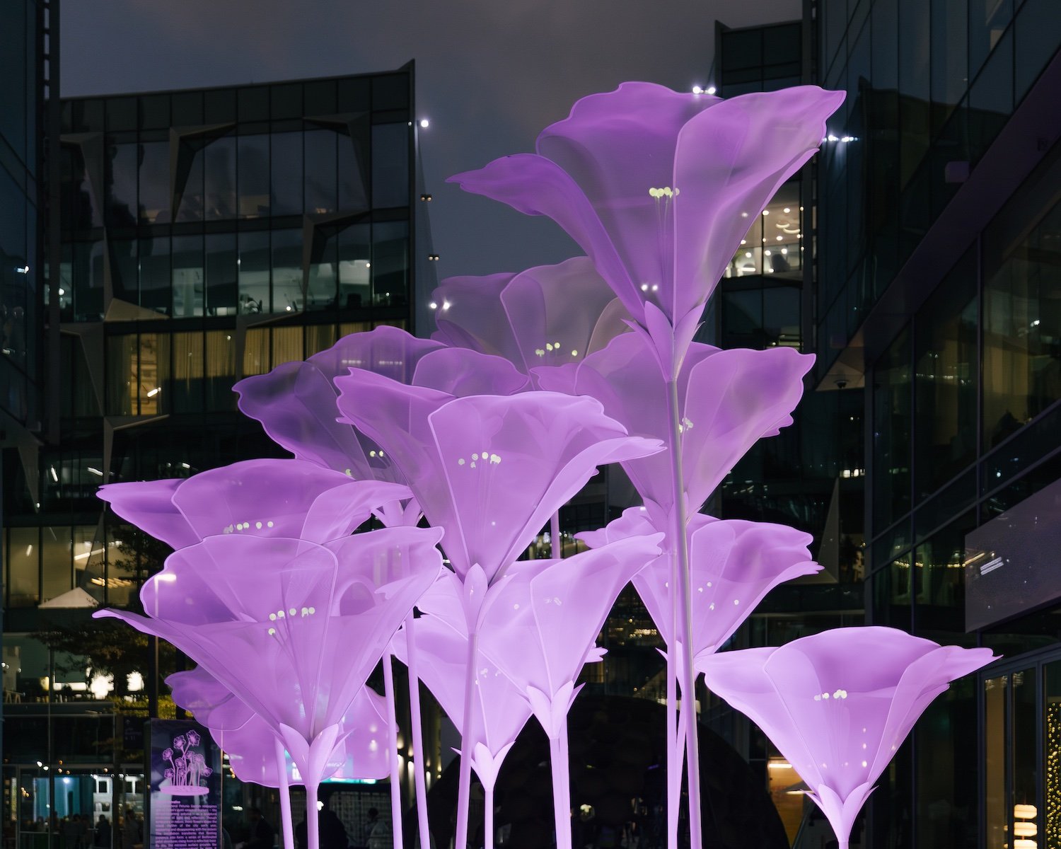 Ephemeral Petunia Garden by Duette at Dubai Design Week 2025 - Photo by Mohamed Hussein @d.wtrmln.